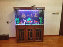 闽江大型新中式客厅家用落地鱼缸水族箱办公室招财免换水底滤龙鱼缸 【4代】酸枝木 【4代精英款】120长*45宽*153高送豪华套餐 实拍图