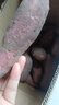 京营海南澄迈桥头富硒地瓜 黄心鸡蛋黄板栗粉糯甜番薯蒸烤红薯新鲜 中小果【5斤净重】 实拍图