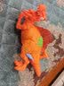 凯迪威新考古恐龙蛋爆裂小子三角龙霸王龙腕龙独角兽惊喜奇趣蛋玩具 侏罗纪恐龙蛋【大号棘背龙】 实拍图