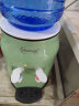 美宁达（Meiningda） 饮水机小型家用台式桌面饮水器宿舍办公室学生迷你冷热两用制水器 时尚绿 温热款 实拍图