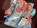 领食鲜生 手打牛肉丸 生鲜丸子火锅烧烤食材纯牛肉含量≥85% 源头直发 手工牛肉丸500g*3袋 实拍图