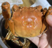 鱻谣 花雕熟醉蟹2.5两母 4只装 全母大闸蟹螃蟹河蟹制作生鲜加热即食 实拍图