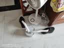 志高（CHIGO） 烘鞋器鞋子烘干机器神器杀菌干鞋器家用智能恒温烘鞋机烤鞋器烘干鞋器干湿两用哄鞋器臭氧杀菌 儿童款 0L 实拍图