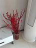 开时果 银柳鲜枝干花年宵花卉 红色真花福桶银柳水培植物室内装饰鲜花 【80cm】银柳40枝（喜庆红） 实拍图