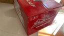 百威拉格啤酒355ml*24瓶红铝瓶啤酒整箱装新旧包装五一出游 晒单实拍图