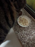 仕宴鸡肉冻干500g袋装鸡肉粒鸡胸肉幼猫成猫宠物猫咪零食冻干混合拌粮 12个月 袋装鸡肉粒500g 实拍图
