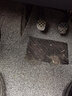 智雨汽车丝圈脚垫主副驾驶位易清洗车垫子地毯脚垫可裁剪上层地垫专用 【自由裁剪】灰色主驾驶 下单联系客服备注具体车型和年款 实拍图