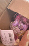 羞小情洗衣凝珠三合一持久留香五效合一留香珠洗衣珠去污高浓缩 紫色薰衣草香 100颗【精美品牌盒装】 实拍图