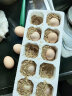 寻鲜鸟土鸡蛋 农家散养 谷物喂养 笨鸡蛋 月子蛋 鲜鸡蛋无抗生素鸡蛋 10枚装/盒 实拍图