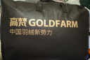 高梵黑金鹅绒服先锋1.0八格羽绒服男女同长款冬季官方品牌情侣厚外套 黑色【男女同款】 M 【170】 实拍图