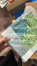 珀莱雅（PROYA）补水面膜女抗皱紧致保湿面膜提亮肤色贴片双抗面膜官方正品旗舰款 【划算装】补水35片+修护35片 实拍图