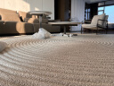 优立地毯客厅卧室茶几沙发毯防水可擦洗地毯奶油色地毯 暗涌-300x400CM 晒单实拍图