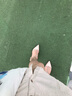 达芙妮铆钉凉鞋女2024夏季新款尖头粗跟一字带女凉鞋平底法式柳钉鞋子女 裸色 37 实拍图