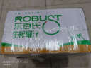 乐百氏（robust）生榨椰汁245mL*10整箱植物蛋白饮料正宗鲜椰奶水椰汁饮料 【三箱家庭装】鲜榨椰汁245ml*10 实拍图