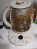 志高（CHIGO） 养生壶煮茶壶电热水壶烧水壶1.8L多功能恒温水壶花茶壶迷你玻璃药膳壶 1.8L 米色升级316钢【配滤网】 实拍图