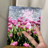 落日玫瑰数字油画diy花卉填色涂鸦手工手绘diy油彩画卧室装饰画 A019郁金香 40*50实木内框+丙烯颜料+画笔 实拍图