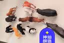 纽奇（Nukied）儿童男孩玩具仿真动物模型农场庄园长颈鹿野生动物园玩具新年礼物 农场动物12件套(收纳桶+赠图册1) 实拍图