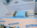 雅鹿水洗棉床上四件套卡通家用可机洗床单被套单人学生宿舍被罩三件套 恋爱馨语【柔软亲肤 可裸睡】 1.5m 床单款 四件套-被套150*200cm 实拍图