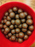 麦提莎（Maltesers）麦丽素原装进口麦芽脆心牛奶巧克力豆桶装女神节礼物儿童生日零食 麦提莎巧克力465g*1桶 实拍图