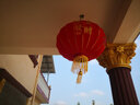 祥福缘灯笼新年装饰品大红灯笼灯植绒布婚庆节庆大门led灯春节年货节 1对装+花开富贵120#+灯+ 66cm 实拍图