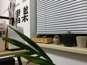 科仕隆（KESHILONG）简易书架落地钢木小型书架置物架客厅书架书柜多层储物展示收纳架 浅胡桃面+黑架 加厚80长30深215高/六层 实拍图