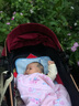 贝丽可（belecoo） 婴儿推车高景观 可坐可平躺避震折叠双向BB宝宝轻便手推童车 旗舰奢华款酒红四轮橡胶+大礼包 实拍图