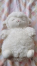 名创优品（MINISO）羊咩咩系列毛绒公仔玩具玩偶女生生日礼物圣诞节礼物可爱公仔玩偶 站姿（暖白） 见详情 实拍图