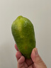 马保果海南青柠檬应季新鲜青柠薄皮绿肉柑绿鲜柠檬 实拍图