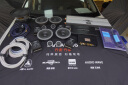 丹拿汽车音响272+232+DA12 DSP+10W1+AD1000功放低音炮8喇叭套餐 实拍图