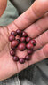 硕亨正宗满金星小叶紫檀手串男2.0满天星老料佛珠文玩男女情侣108念珠 满金星10MM*19颗 实拍图