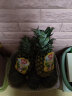 佳农 安岳黄柠檬 8粒 单果约100-130g  新鲜水果 晒单实拍图