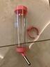 威毕兔子仓鼠饮水器兔子水壶滚珠饮水器喝水器饮水机仓鼠龙猫荷兰猪 饮水器250ml（粉色） 实拍图