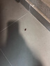 厚生蟑螂药家用室内厨房强力灭杀蟑胶饵除蟑全窝端一窝端神器 8枚 1盒 实拍图