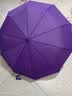 添晴48骨全自动雨伞男士商务折叠伞双人三折成人男女自开自收雨太阳伞 48骨大伞绿色 实拍图