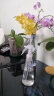 家の物语（KATEI STORY）日本浇花喷壶手压式喷雾器园艺多肉盆栽浇水壶美发补水小喷瓶消毒 实拍图