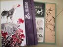 水墨花卉技法名师课堂 竹（随书附赠教学视频）从入门到精通，一本书学会画竹技法 实拍图