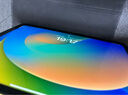 Apple/苹果 iPad(第 10 代)10.9英寸平板 2023年(64GB eSIM版/学习办公娱乐/MUU13CH/A)黄色 蜂窝网络 实拍图