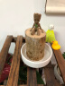 九月生水培巴西木幸运木带托盘格鲁特花卉绿植盆栽室内桌面植物中号 实拍图