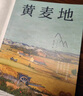 黄麦地 实拍图