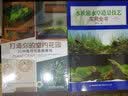 打造你的室内花园：30种植物创意微景观 实拍图