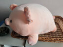捉趣（ZHUOQU）小猪公仔可爱创意毛绒玩具玩偶陪睡抱枕靠垫娃娃玩偶女生生日礼物 BOBO猪呆萌款 40cm 实拍图