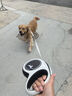 福莱希（FLEXI）外星人时尚系列狗狗牵引绳自动伸缩链带状狗绳L5米神秘黑 实拍图