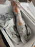 鲟食 波士顿龙虾冰鲜冷冻大波龙澳龙大龙虾生鲜虾类节日送礼 波士顿龙虾【生冻】 2300-2500g/只 实拍图