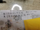 SAILOR写乐21K钢笔 PG大型平顶天冠11-2036/2037 双色金尖 练字钢笔【礼盒】 黒杆金夹双色尖2036 MF 实拍图