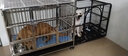 贝尼宠【不锈钢 加粗加厚 激光满焊】狗笼不锈钢结实金毛布拉多萨摩杜宾 110x71x98组装加粗(有喂食小门) 实拍图