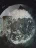 半球电饭煲家用迷你电饭锅多功能小型全自动正品电饭煲1.8L2人用蒸煮饭 中配球釜不粘内胆-非电子款 2L 实拍图