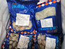海皇湾扇贝肉 新鲜蒜蓉粉丝扇贝原料 冷冻海鲜水产 扇贝肉 1000g（20-40只/500g） 实拍图