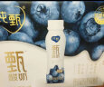 蒙牛纯甄甄酸奶蓝莓味230g×10瓶（礼盒装）长白山寒地蓝莓 实拍图