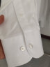 雅戈尔 衬衫男士 2022春秋季青年男休闲正装衬衫 YLDP10171BJA 白色 40 晒单实拍图