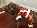 华元宠具（hoopet）小狗狗过年唐装喜庆衣服小型犬四脚泰迪比熊吉娃娃宠物秋冬季服装 双层加厚四脚唐装 M:参考体重4-7斤 实拍图